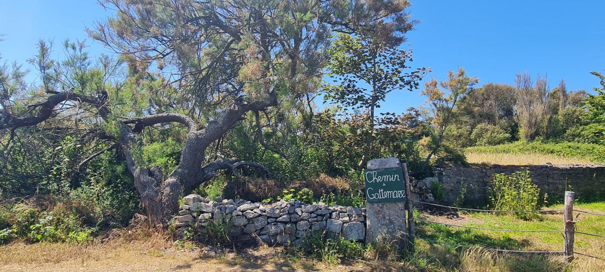 Relais Des Iles Saint Marcouf Villa Exterior photo